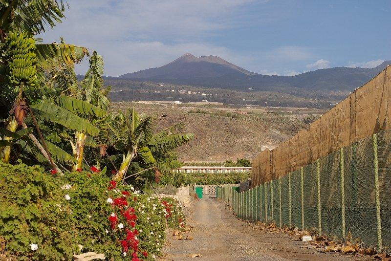 Hotel Rural El Navio - Adults Only Alcala  Bagian luar foto